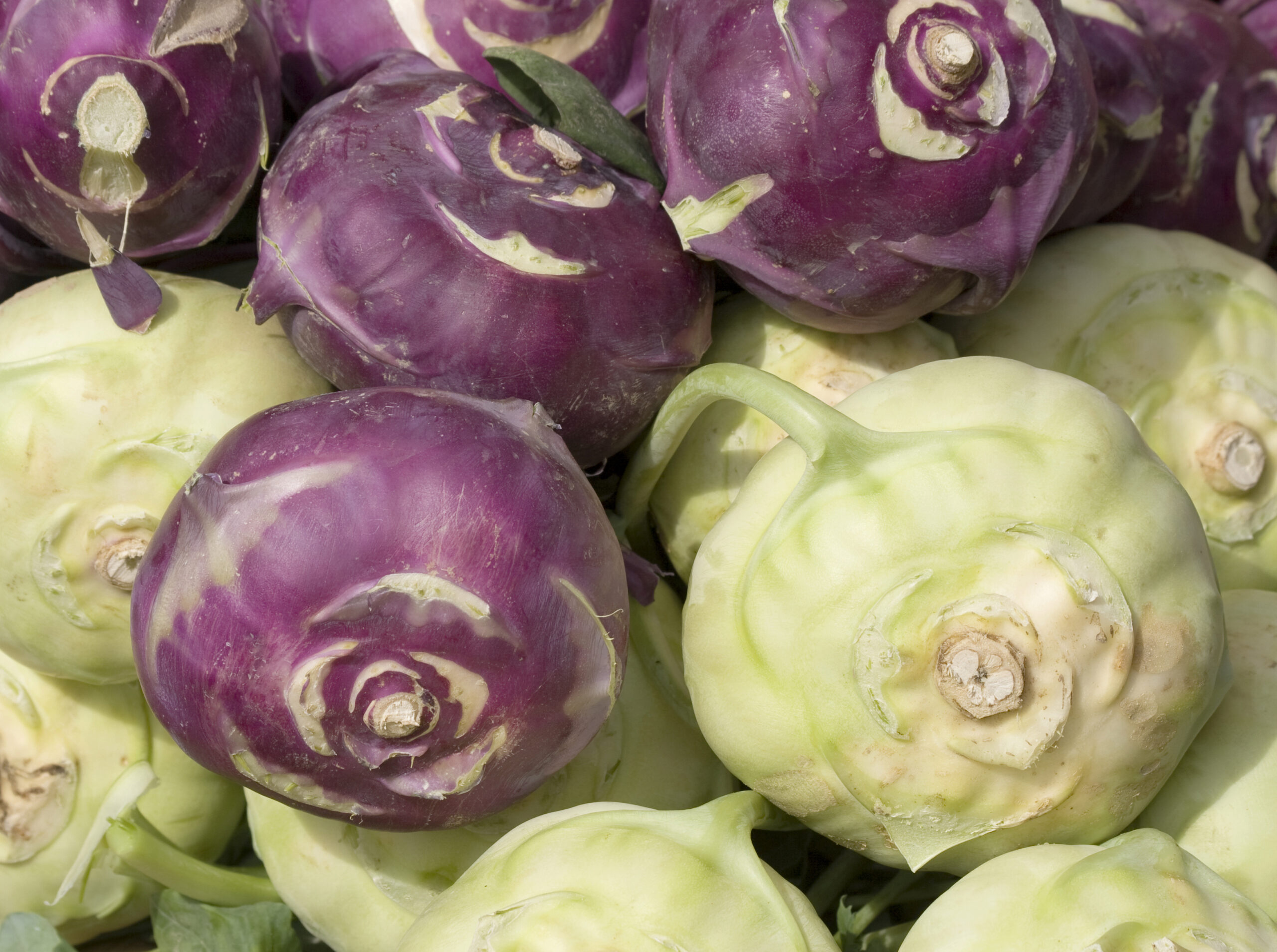 How to turn an urban progressive into a libertarian? Regulate the kohlrabi from his CSA