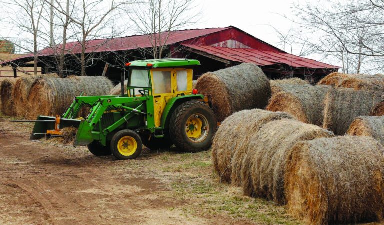 In this Tuesday, Feb. 12, 2013 photograph, Randy Cree picks up a bale of hay while feeding cattle on his farm near Big Springs, Kan. Years of drought are reshaping the U.S. beef industry with feedlots and a major meatpacking plant closing because there are too few cattle left in the United States to support them. (AP Photo/Orlin Wagner)