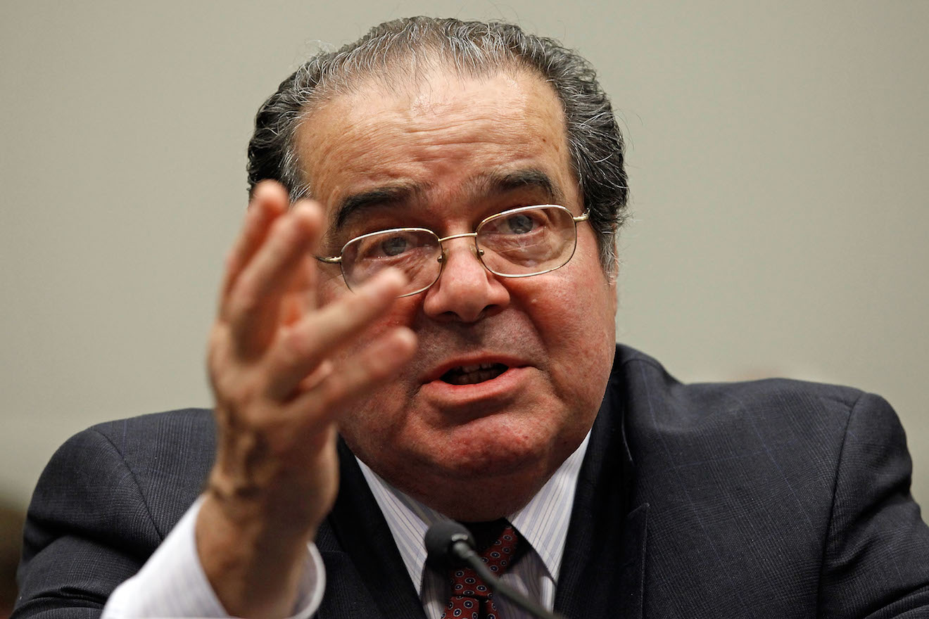 Scalia Sweats