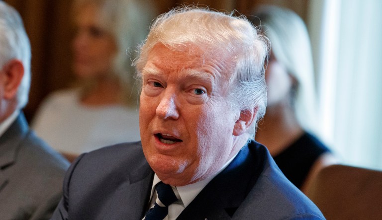 Despite Congress' packed agenda, Trump said welfare reform would be a priority of his administration. (AP Photo/Evan Vucci)