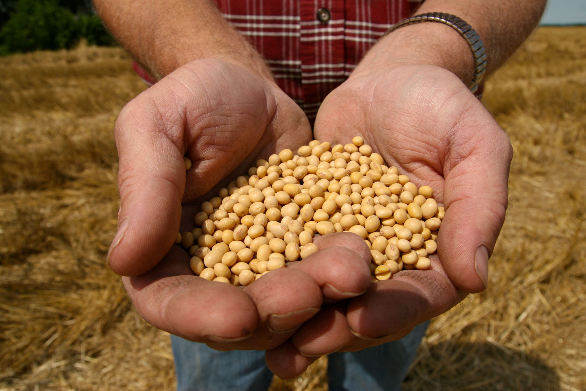 Monsanto posts larger-than-expected 4Q loss