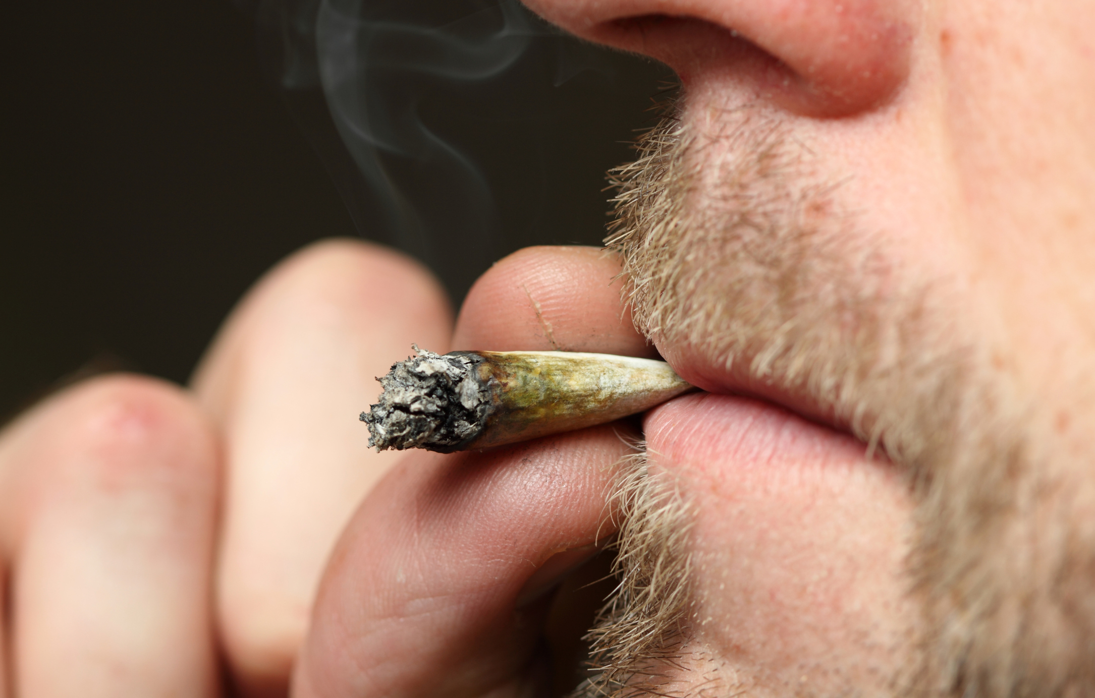Libertarian magazine looking for ‘businesslike’ stoner to appear on next cover