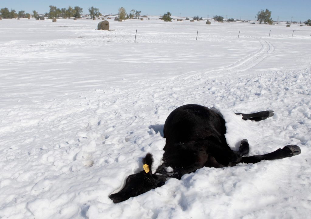 Members of Congress push to expedite rancher help