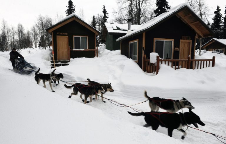 Robert Bundtzen drives his team past cabins at Winterlake Lodge at the Finger Lake checkpoint in Alaska during the Iditarod Trail Sled Dog Race on Monday, Mar. 4, 2013. (AP Photo/The Anchorage Daily News, Bill Roth)