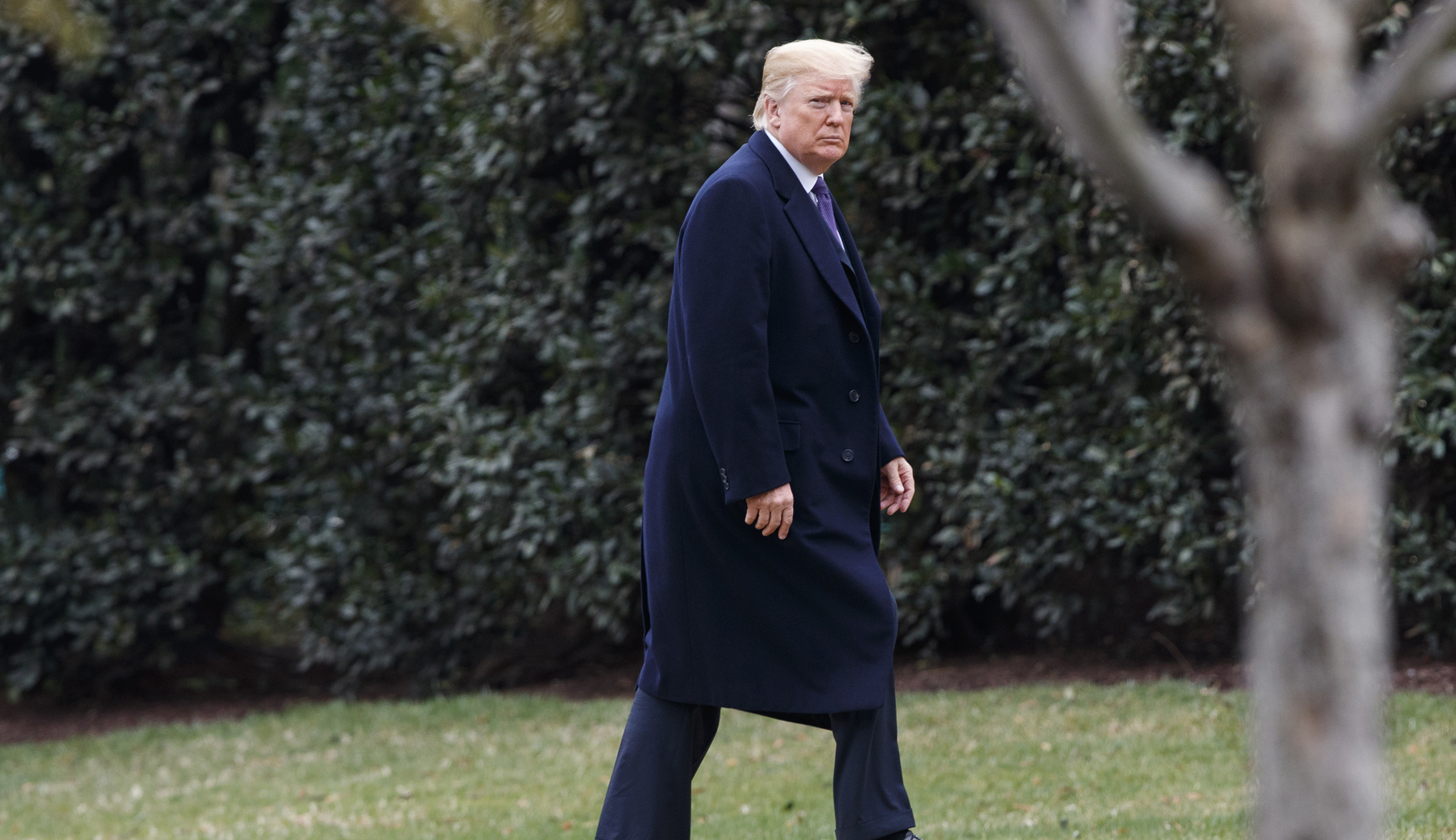 Override Trump’s veto and block his tariff power