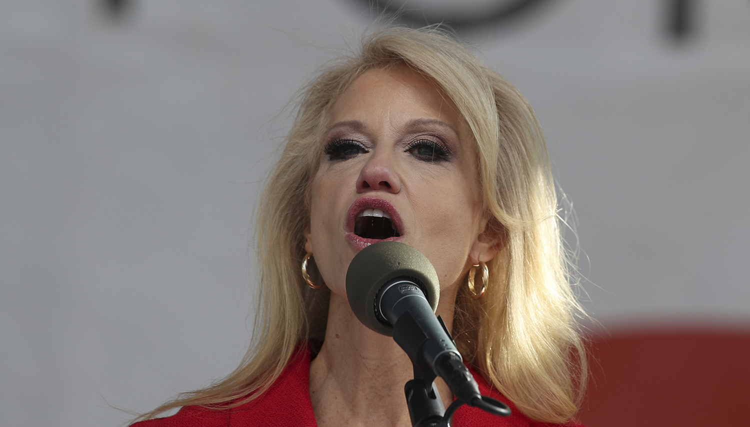 Conway defends Trump’s immigration order: ‘Nonsense that this is a Muslim ban’