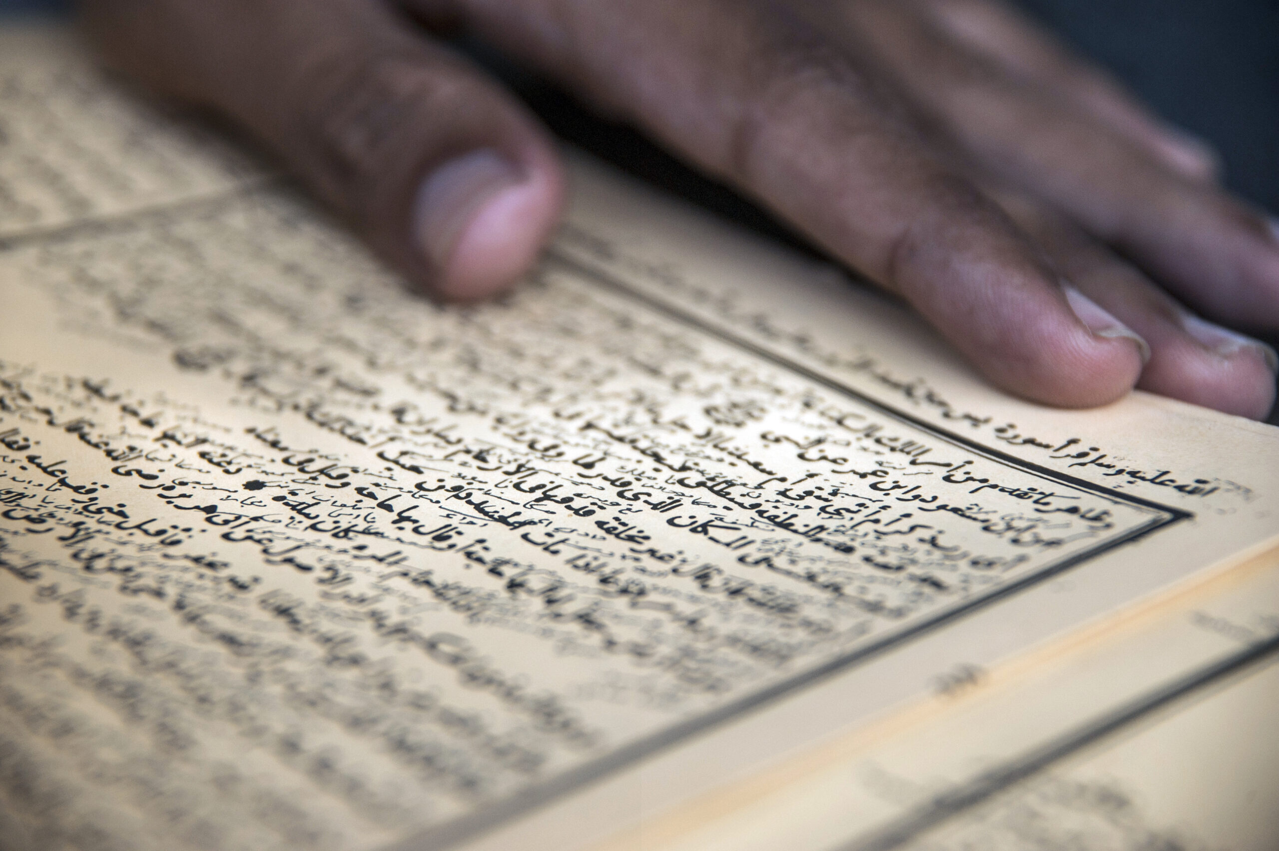 Reinforce native languages to counter terrorism