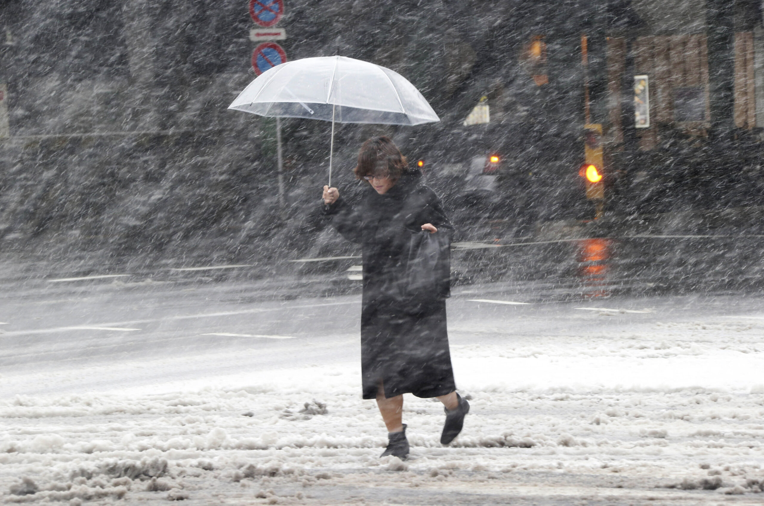 Tokyo hit by rare heavy snowfall; trains delayed
