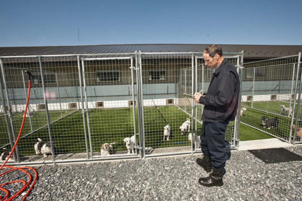 Defund Fauci’s dog abuse experiments