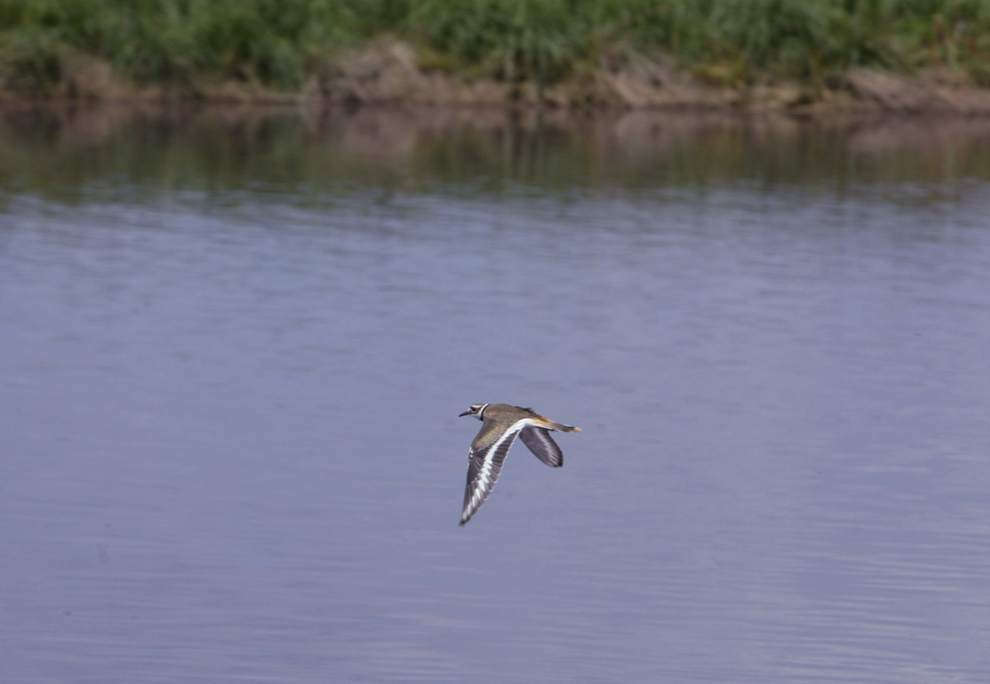 House votes to repeal EPA water rule