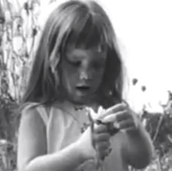 Doves, Hawks, and Hawkeyes