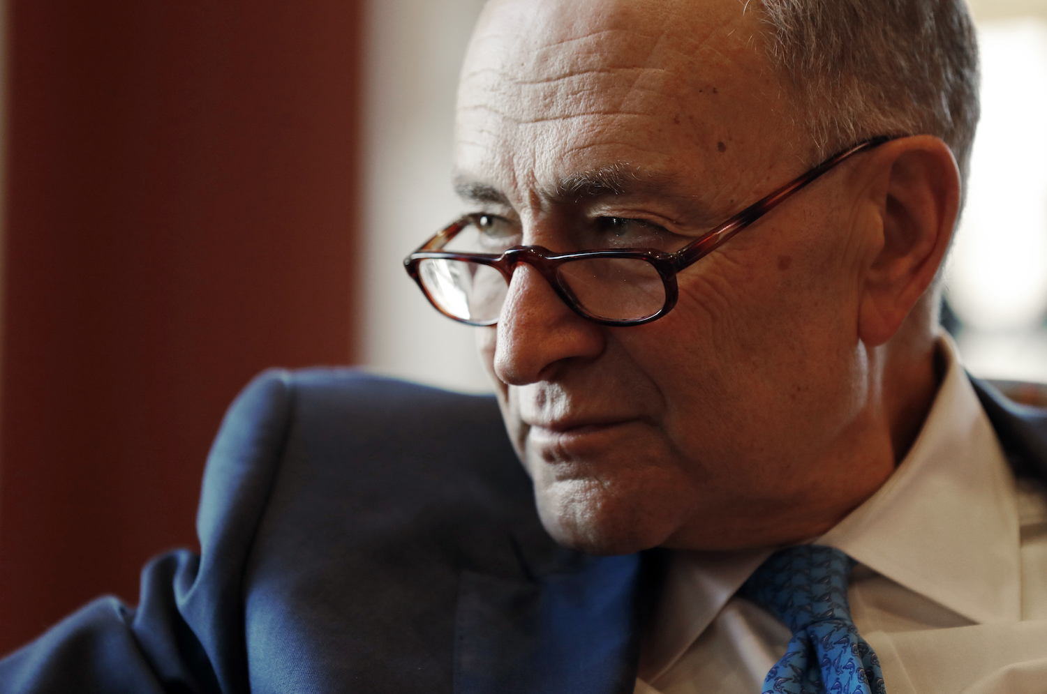 Schumer urges Senate to investigate Russian cyber activity