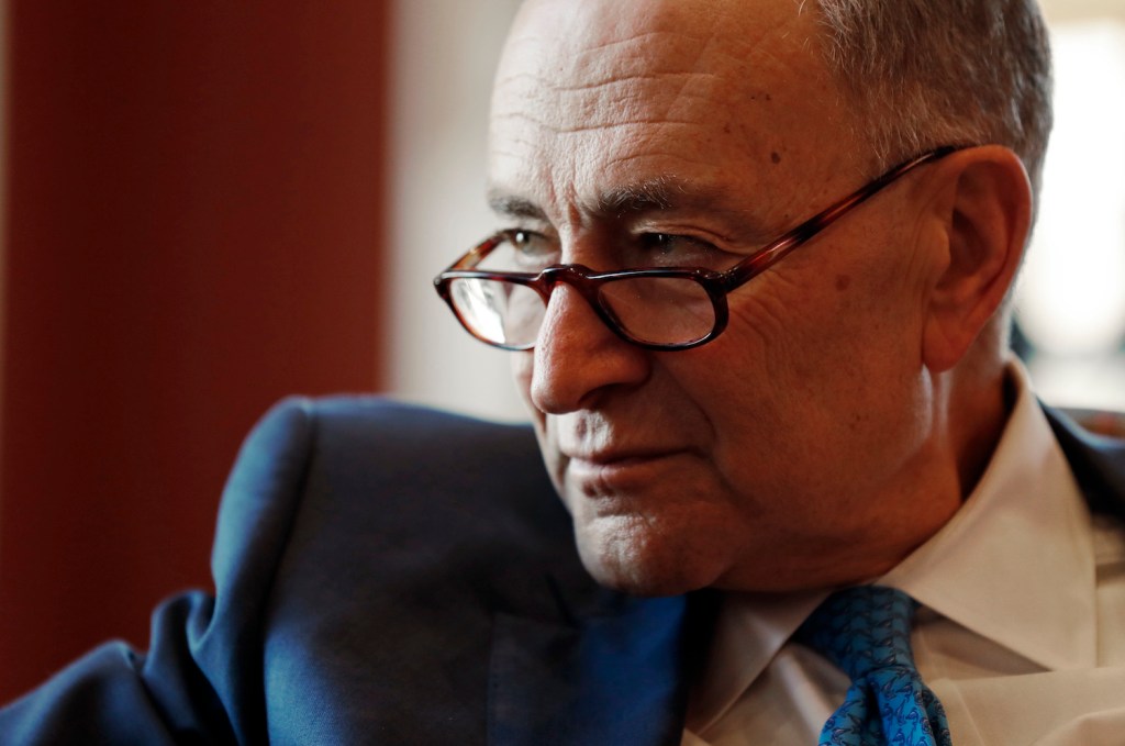 Schumer urges Senate to investigate Russian cyber activity