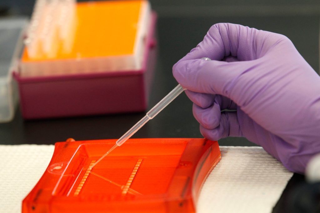 House takes stand on genetically modified humans