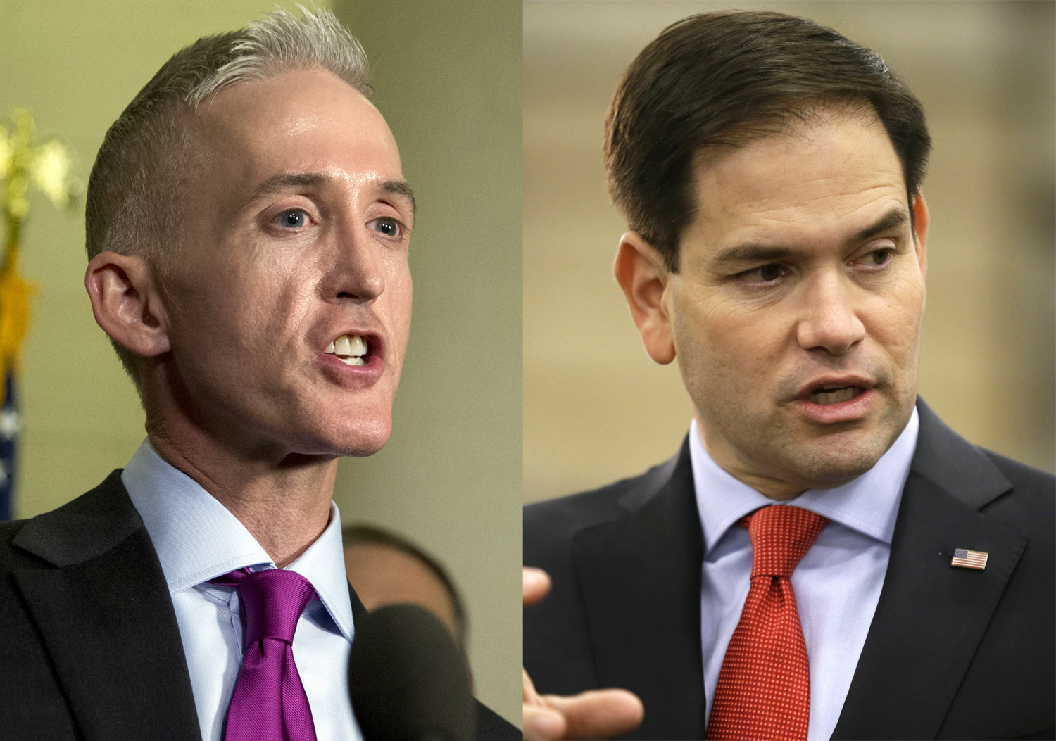 Rubio camp fundraises off Gowdy endorsement