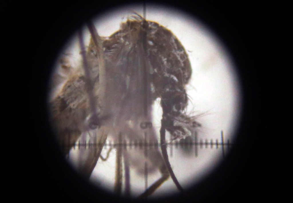 Colombia declares Zika outbreak over