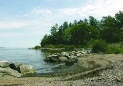 Montgomery County churches, nonprofits face new fee to protect Chesapeake Bay