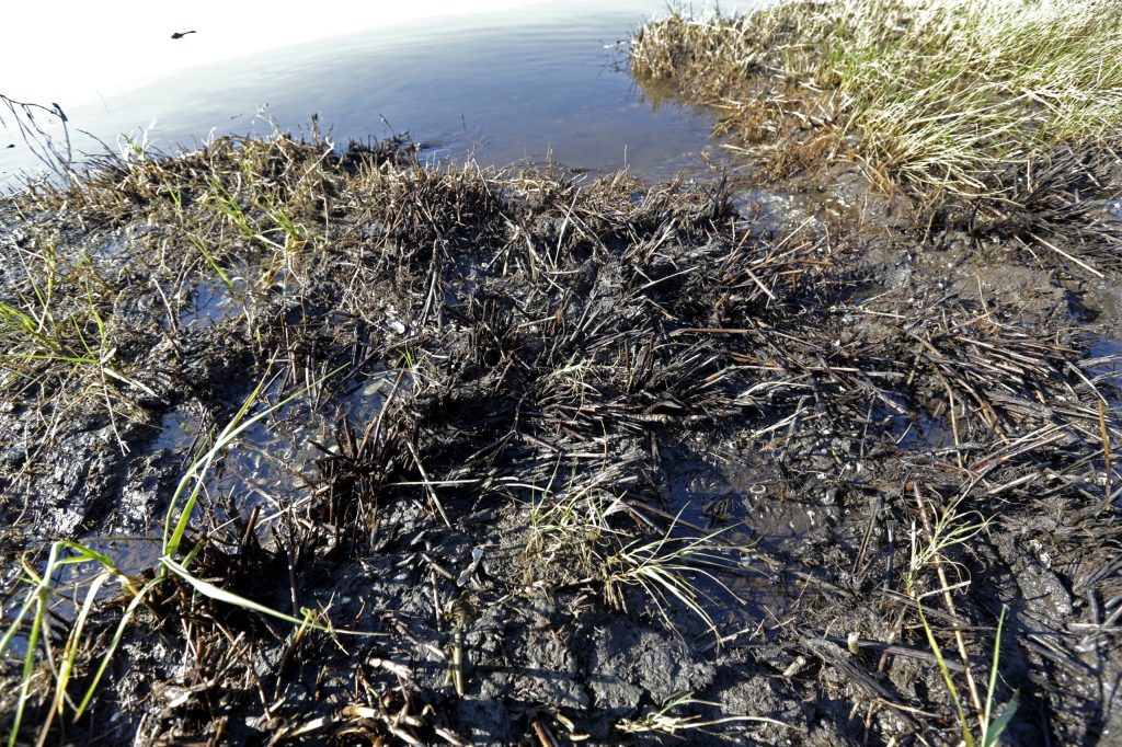 BP appeals ruling in dispute over spill settlement