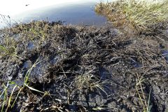 BP appeals ruling in dispute over spill settlement