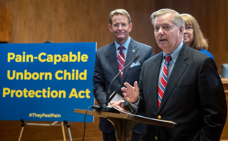 Anti-abortion groups are pressing for the vote to happen Jan. 22, the anniversary of Roe v. Wade, the 1973 Supreme Court decision that made abortion legal nationwide. (AP)