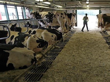 EPA says CO2, cow-pig manure and urine rank 1-2-3 as global warming threat