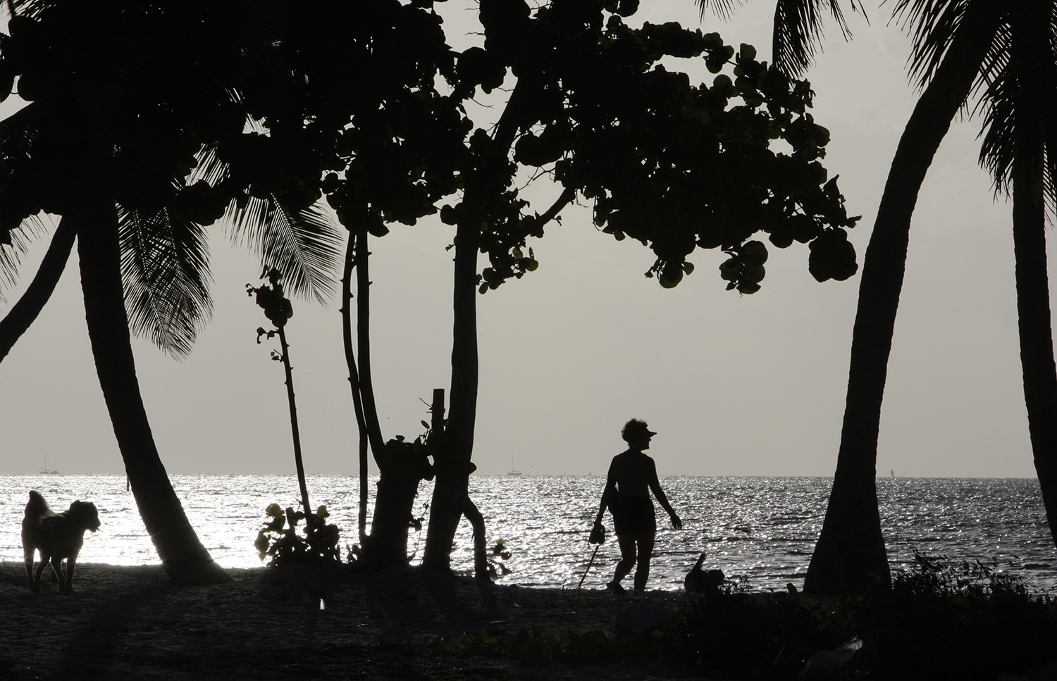 Cuban citizen sentenced to life for plan to bomb Key West beach