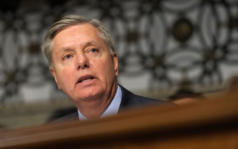 Sen. Lindsey Graham, R-S.C., introduced the nationwide Pain-Capable Unborn Child Protection Act on Nov. 7. (AP Photo/Susan Walsh)