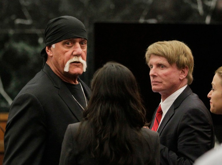 When the Hogan sex-tape case appeared, Peter Thiel set his plan in motion. (Dirk Shadd/The Tampa Bay Times via AP, Pool, File)
