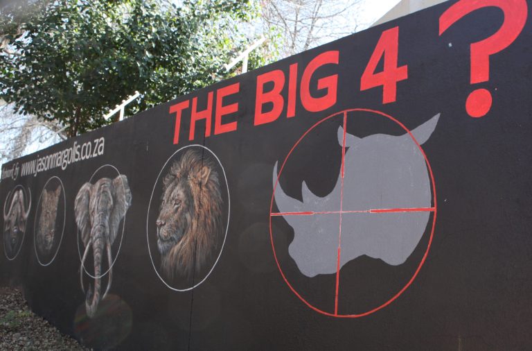 A mural painted on a suburban wall in Johannesburg, South Africa calls for the halt to rhino poaching, Monday, July 21, 2014. Officials at Kruger park, South Africa's flagship wildlife reserve, are considering a plan to move some rhinos out of the park in an attempt to protect them from poachers. A spokesman said that no decision has been made on the plan adding that the idea would be to 