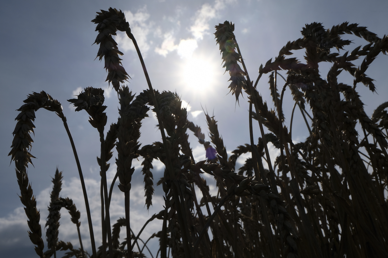 Update: Farmer Facing Fines for Plowing Own Land Settles With Feds