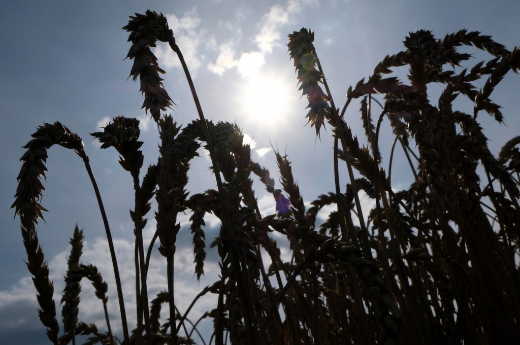 Update: Farmer Facing Fines for Plowing Own Land Settles With Feds