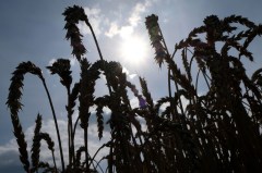 Update: Farmer Facing Fines for Plowing Own Land Settles With Feds