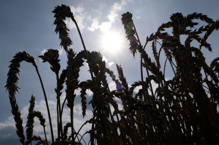 Update: Farmer Facing Fines for Plowing Own Land Settles With Feds