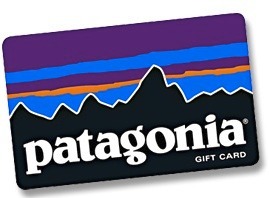 Patagonia is an environmentally-friendly clothing maker whose products cost more.