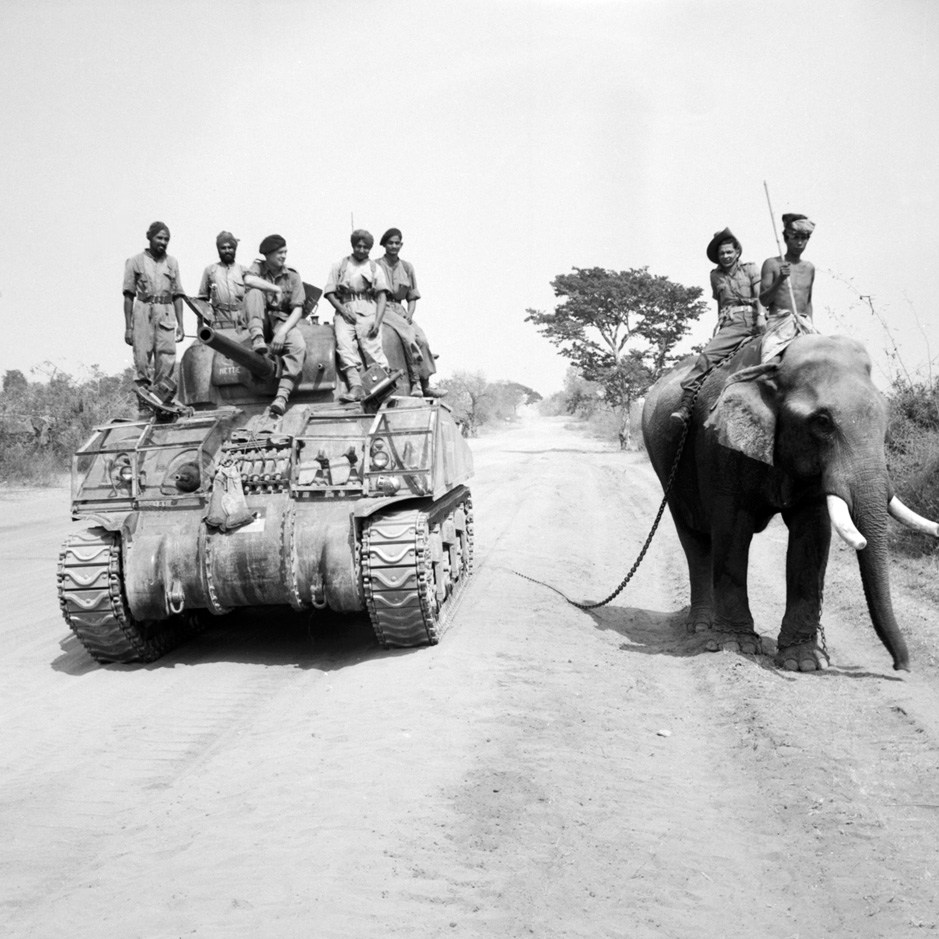 Agony and Ivory