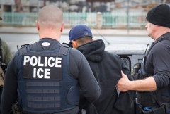 ICE nabs 31 criminal aliens, immigration fugitives around New York City