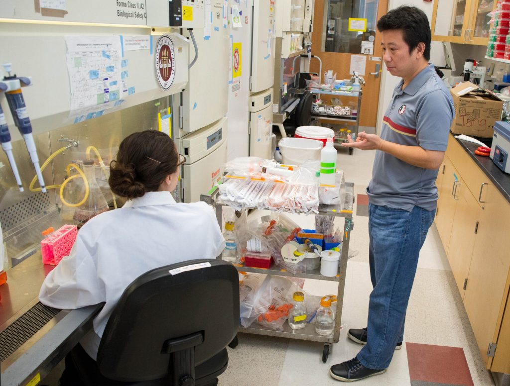 Scientists reach Zika breakthrough