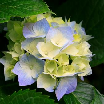 Sample Article – Do Not Publish