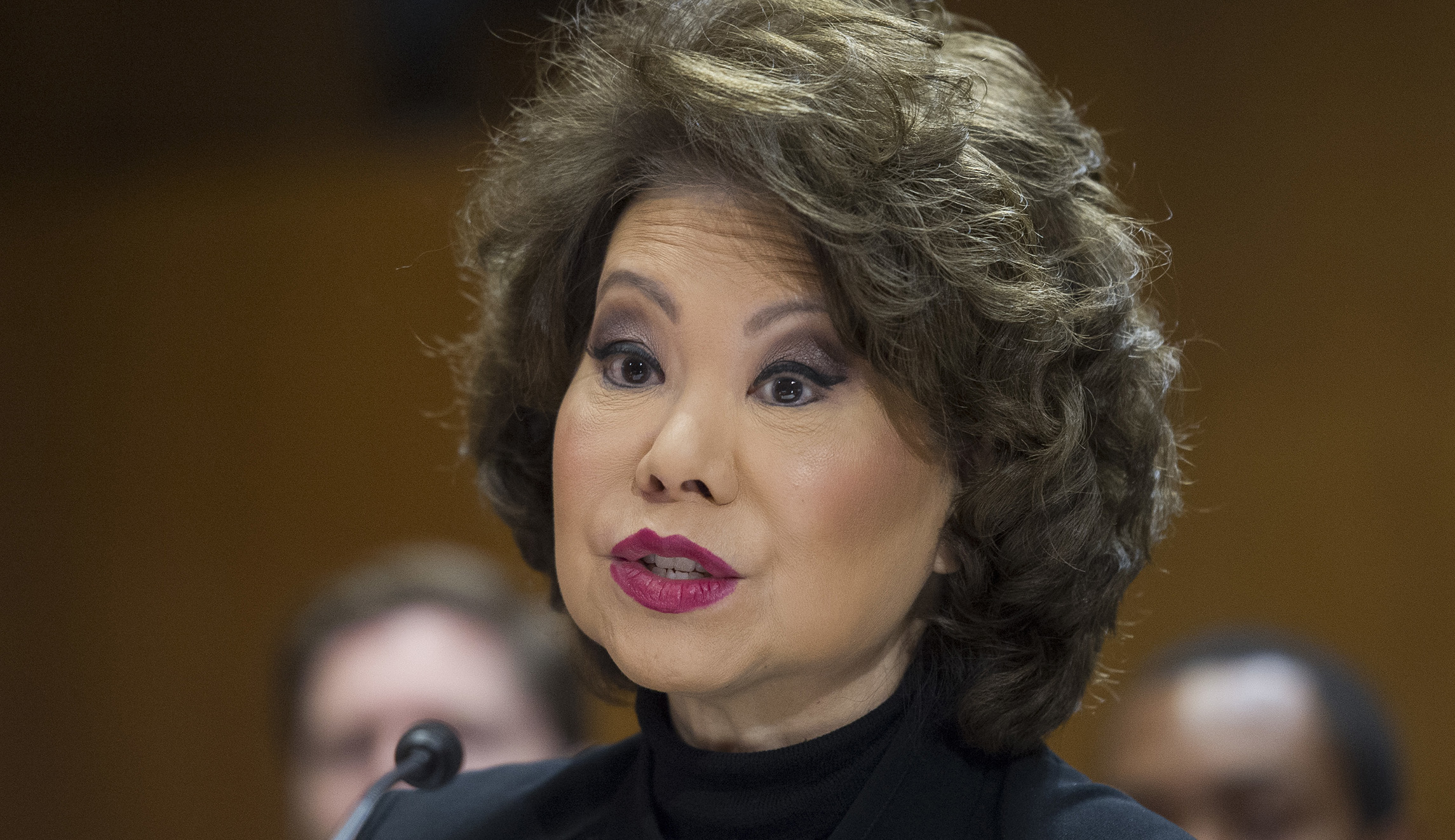 Elaine Chao says environmental permitting reform will spur ‘ready’ infrastructure projects