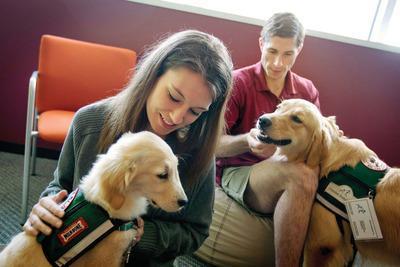 David Goldman/APLaw students Josh Richey and Lindsay Stewart play with golden retrievers Hooch, right, and Stanley in between final exams at Emory University in Atlanta.