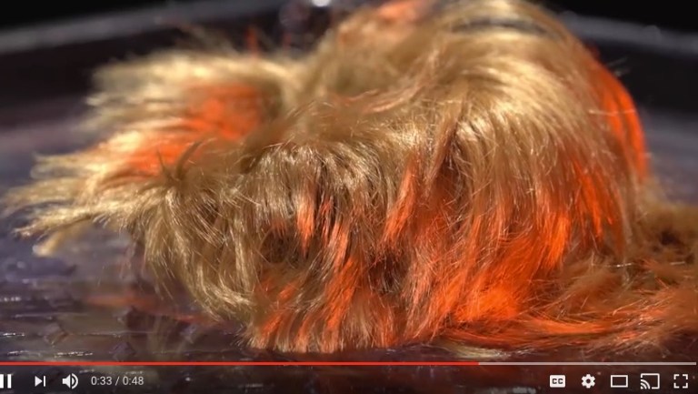 Sierra Club ‘melts’ Trump’s head in new climate change video