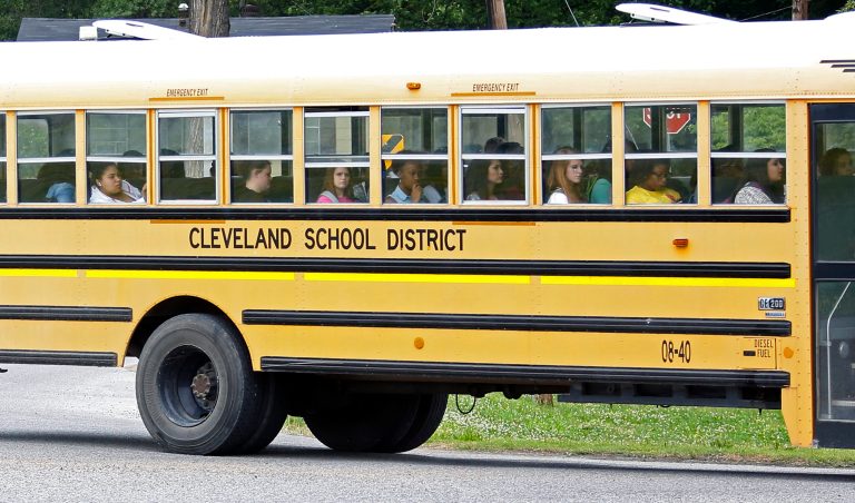 These chemical companies will profit by forcing school buses to include flame-retardant chemicals in their seats, which studies suggest can be harmful. (AP Photo)Â 
