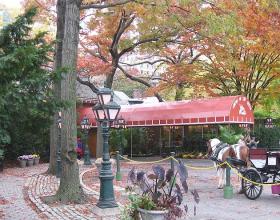 How Green Was My Tavern