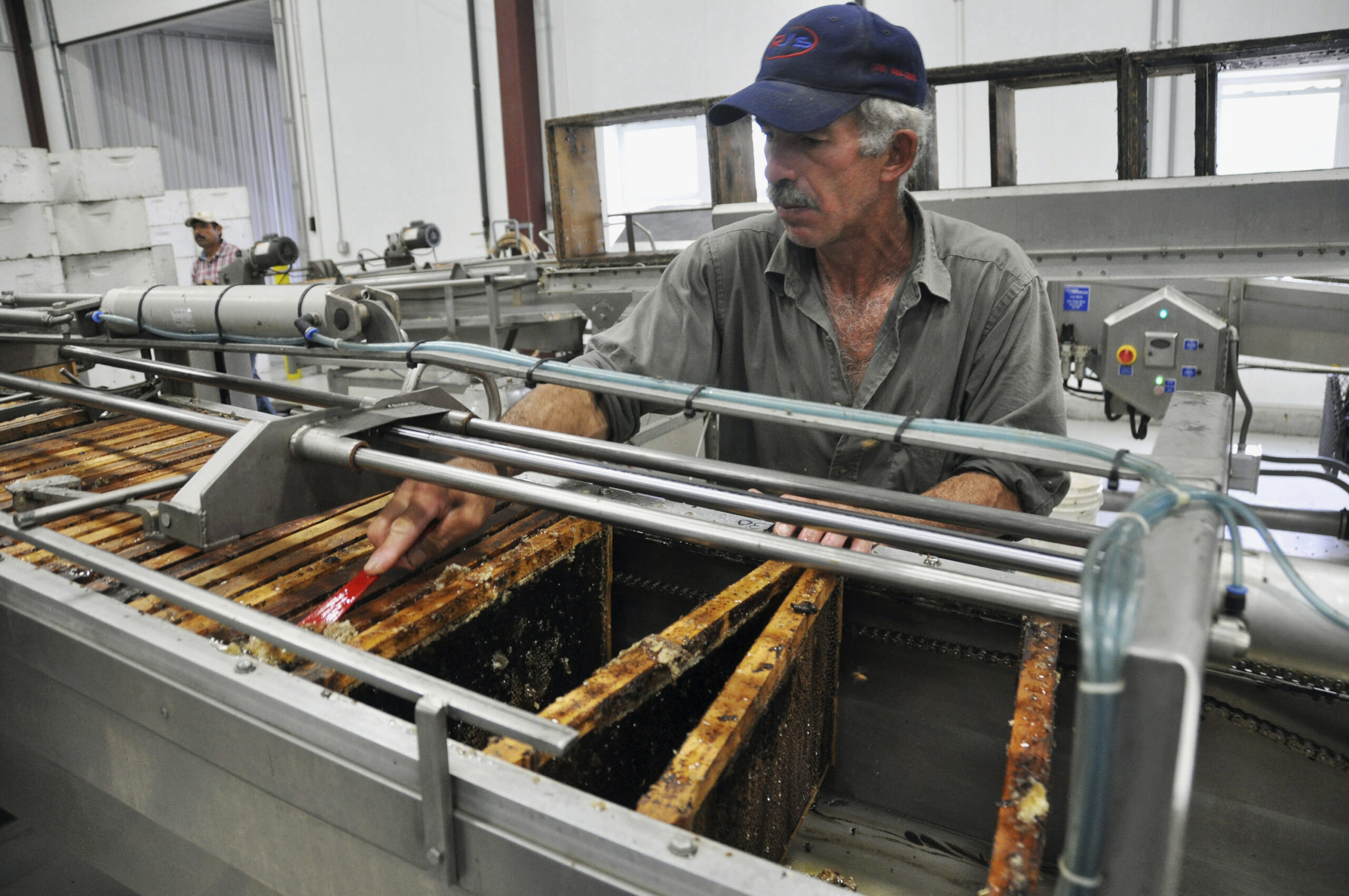 Early rains have honey producers optimistic
