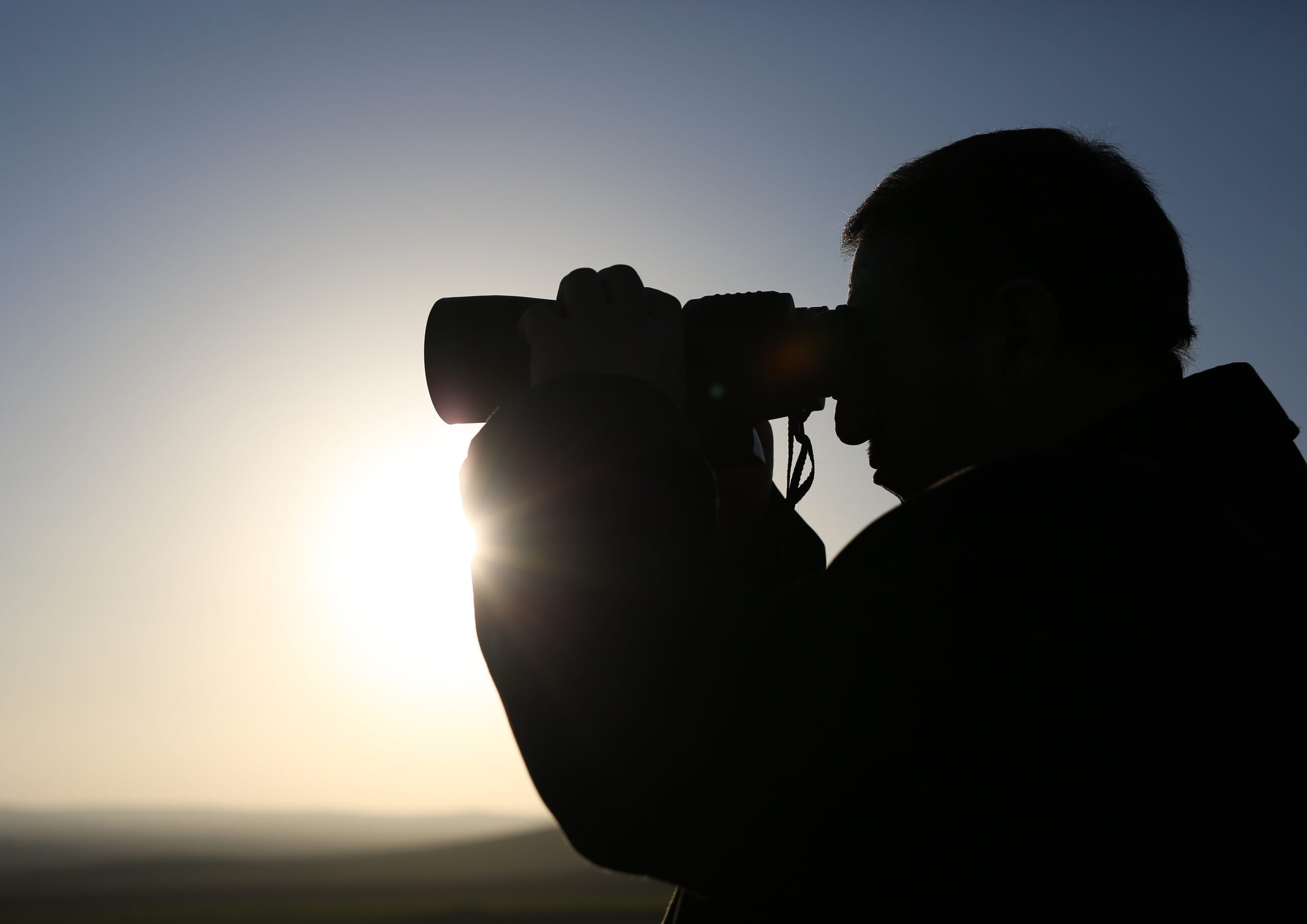 Your stories from the Washington Examiner