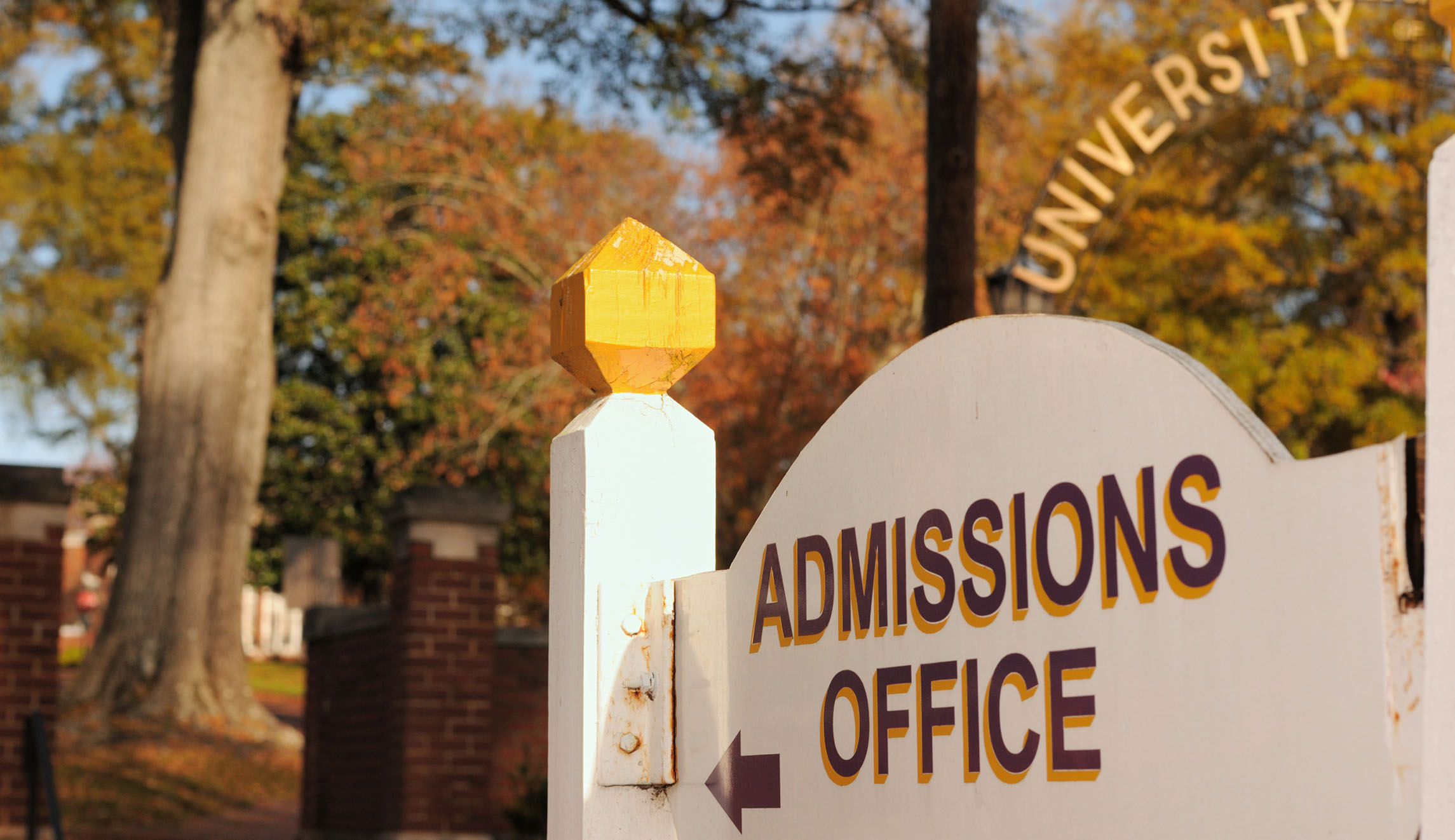 $29,000 college consultant? How admissions anxiety has fueled an industry