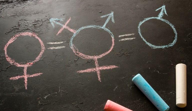 It's unsettling, to say the least, that a school would purposely participate in not only allowing kids to deny biological reality, but corroborating against their parents to engage in that. (iStock by Getty Images)