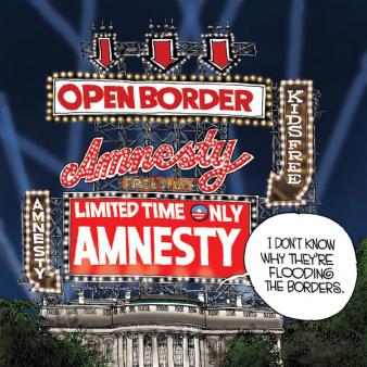 Amnesty