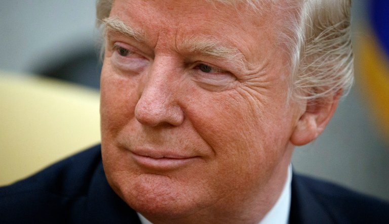 Congressional Republicans wouldn't touch it and the Tea Party base would throw a fit. But Trump might bite. (AP Photo/Evan Vucci)