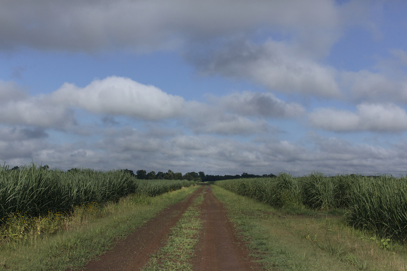 Rural America Needs Faster Internet. Microsoft and Congress Have a Cheap and Easy Solution.